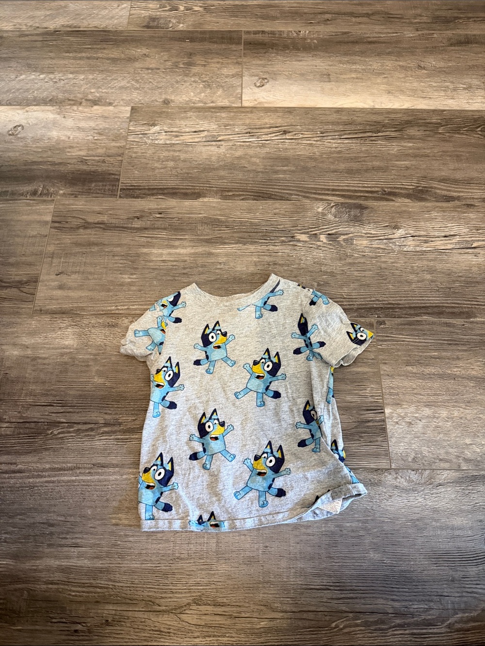 Bluey Character Print T-Shirt Graphic Tee in Gray Boys 5T Like New